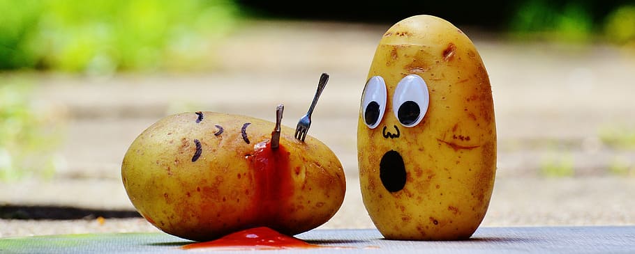 funny fruit wallpaper